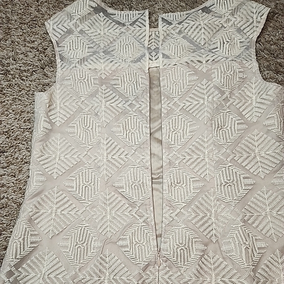 Adrianna Papell Lightweight Cream Embroidered Dress With Beige Lining Size 4 - Picture 4 of 10